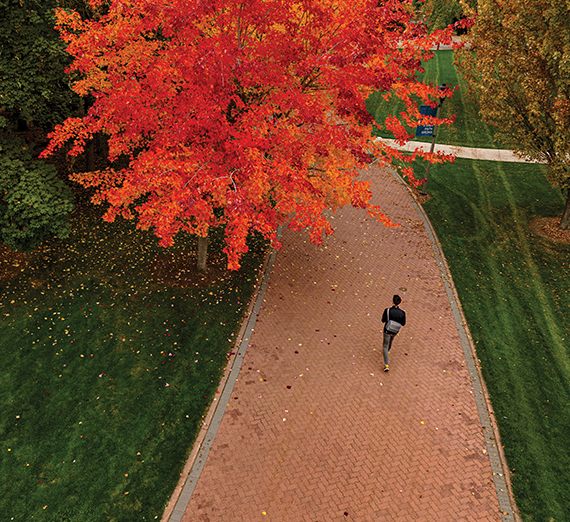 sq-sustainabilityQA-Campbell